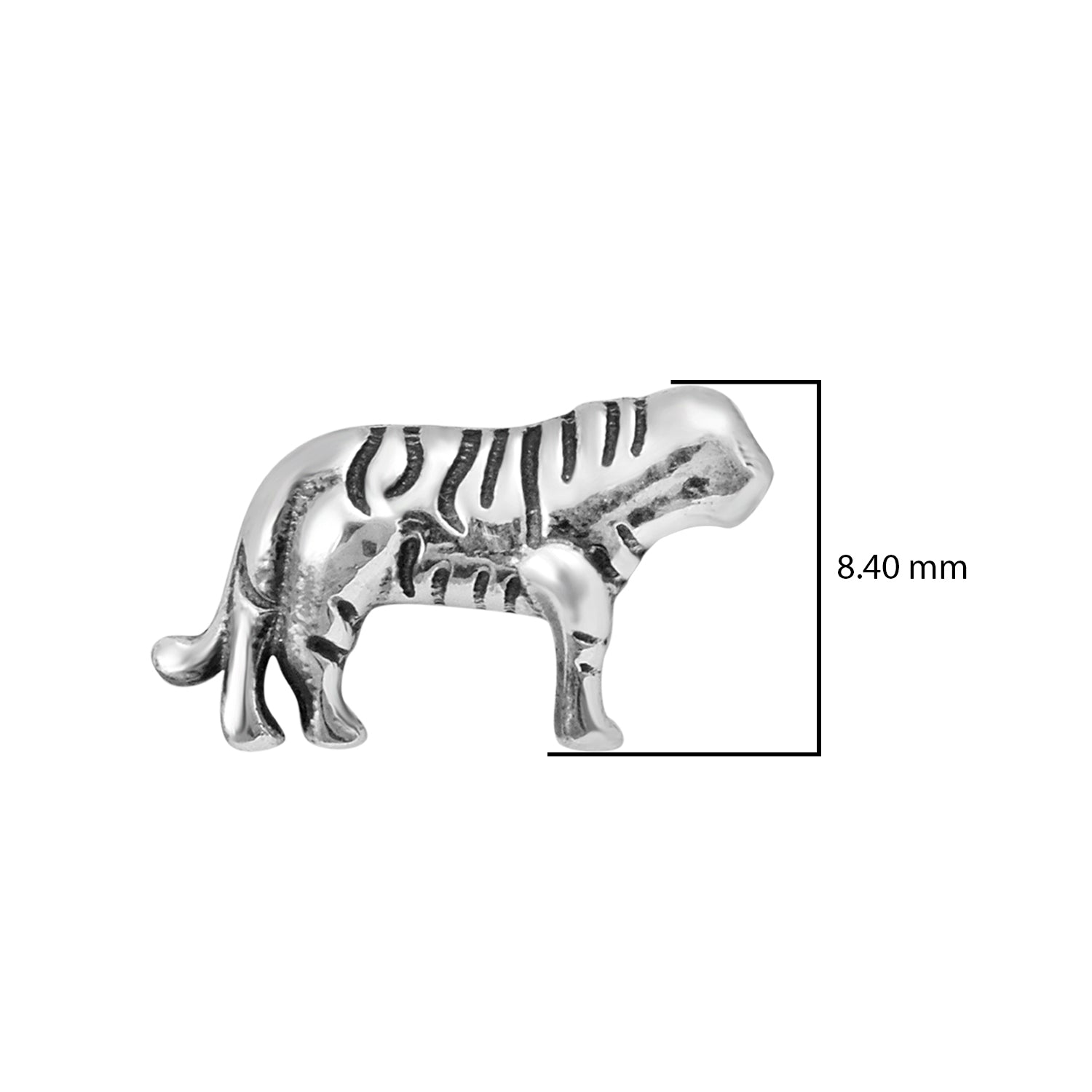Tiger Stud Earrings - Sterling Silver