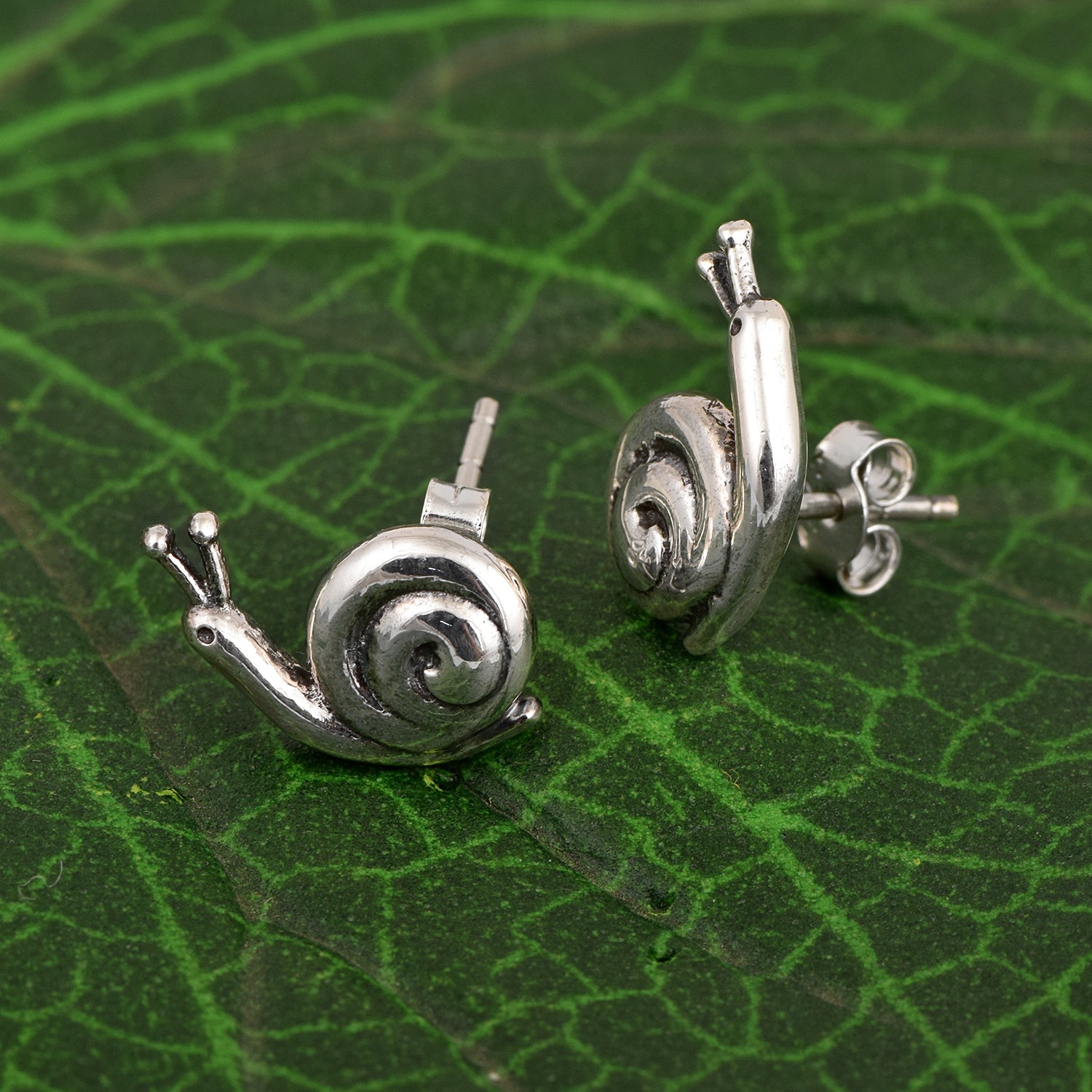 Snail Stud Earrings - Sterling Silver