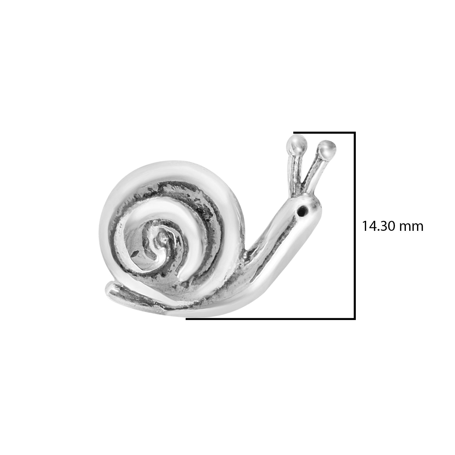 Snail Stud Earrings - Sterling Silver