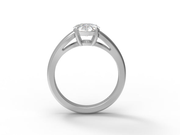 Moissanite Ring